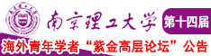 屌逼搞黄南京理工大学第十四届海外青年学者紫金论坛诚邀海内外英才！